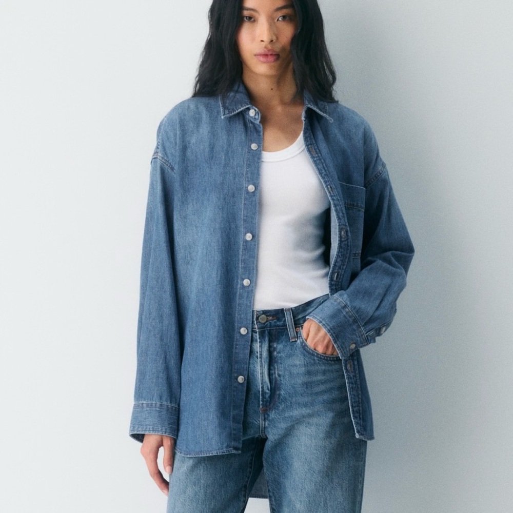 Aritzia Denim Shirt